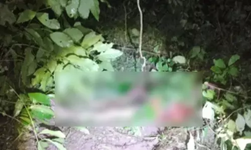 ಬಾಳೆಹೊನ್ನೂರು | ಕಾಡಾನೆ ದಾಳಿಗೆ ರೈತ ಬಲಿ