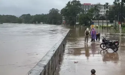 ಚಿಕ್ಕಮಗಳೂರು | ಮಳೆಯೊಂದಿಗೆ ಭಾರೀ ಗಾಳಿ; ಅಲಲ್ಲಿ ಮರಗಳು, ವಿದ್ಯುತ್ ಕಂಬಗಳು ಧರಾಶಾಹಿ