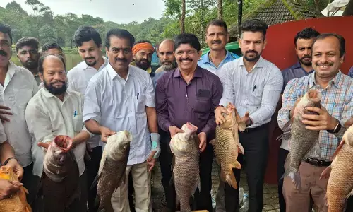 ಪಿಲಿಕುಳ ಲೇಕ್ ಗಾರ್ಡನ್‌ನಲ್ಲಿ ಮತ್ಸ್ಯೋತ್ಸವ-2025 ಕಾರ್ಯಕ್ರಮ