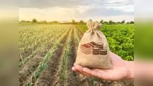 ರಾಜ್ಯದಲ್ಲಿ ರಸಗೊಬ್ಬರ ಕೊರತೆ ನೀಗಿಸಲು ಅಗತ್ಯ ಕ್ರಮ: ಕೃಷಿ ಇಲಾಖೆ ರಾಜ್ಯದಲ್ಲಿ ರಸಗೊಬ್ಬರ ಕೊರತೆ ನೀಗಿಸಲು ಅಗತ್ಯ ಕ್ರಮ: ಕೃಷಿ ಇಲಾಖೆ
