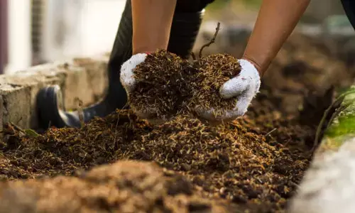 ಕಾಳದಂಧೆಕೋರರ ಬುಡಕ್ಕೆ ‘ಗೊಬ್ಬರ’