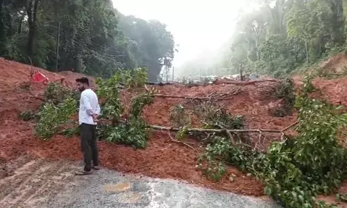 ಮಣ್ಣಗುಂಡಿಯಲ್ಲಿ ಮತ್ತೆ  ಗುಡ್ಡ ಕುಸಿತ: ಮಂಗಳೂರು-ಬೆಂಗಳೂರು ರಾ.ಹೆ. ಸಂಚಾರ ಸ್ಥಗಿತ