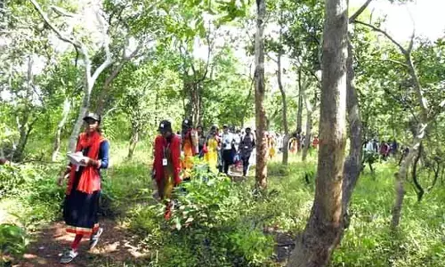 ಚಾರಣಿಗರನ್ನು ಕೈ ಬೀಸಿ ಕರೆಯುತ್ತಿದೆ ಚಿಂಚೋಳಿ ಅಭಯಾರಣ್ಯ