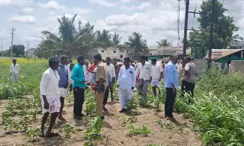 ಮಸ್ಕಿ | ದಲಿತ ಮಹಿಳೆಯ ಶವ ಸಂಸ್ಕಾರಕ್ಕೆ ಮೇಲ್ಜಾತಿಯವರಿಂದ ಅಡ್ಡಿ; ಆರೋಪ