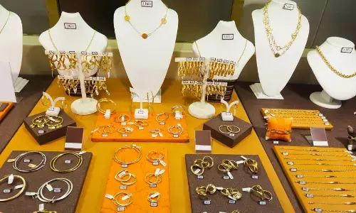 ಬೆಂಗಳೂರು | ಆಟಿಕೆ ಗನ್ ತೋರಿಸಿ 16 ಸೆಕೆಂಡ್‍ಗಳಲ್ಲಿ ಚಿನ್ನದಂಗಡಿ ದರೋಡೆ