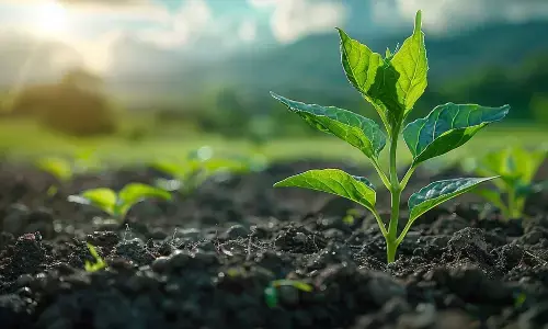 ರಸಗೊಬ್ಬರ ಪೂರೈಕೆಗೆ ರಾಜ್ಯದಿಂದ ಕೇಂದ್ರಕ್ಕೆ ಆರು ಬಾರಿ ಮನವಿ: ಕೃಷಿ ಇಲಾಖೆ