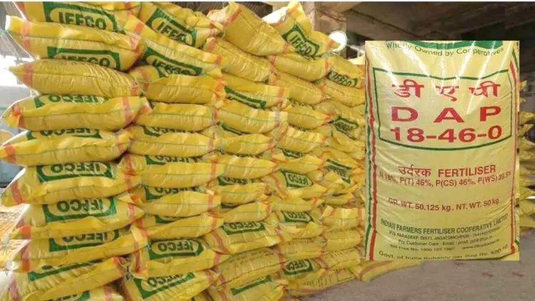 ರಾಯಚೂರು ಜಿಲ್ಲೆಯಲ್ಲಿ ರಸಗೊಬ್ಬರ ಕೊರತೆ