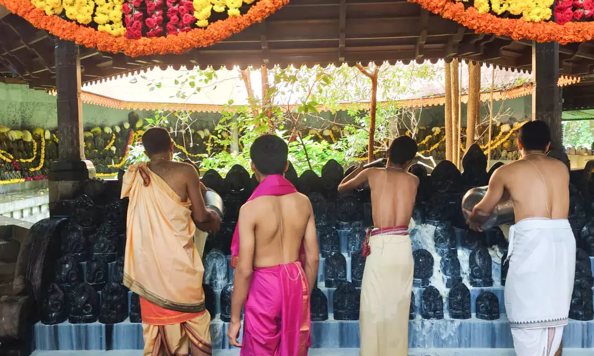 ಮಂಗಳೂರು: ನಾಗರ ಪಂಚಮಿ ಆಚರಣೆ
