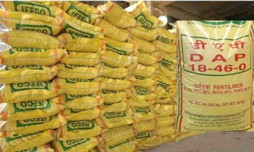 ರಾಯಚೂರು ಜಿಲ್ಲೆಯಲ್ಲಿ ರಸಗೊಬ್ಬರ ಕೊರತೆ