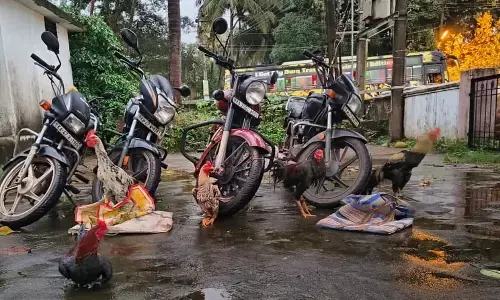 ಭಟ್ಕಳ: ಕಾಡಿನಲ್ಲಿ ಕೋಳಿ ಜೂಜಾಟ; ಪೊಲೀಸರಿಂದ ದಾಳಿ