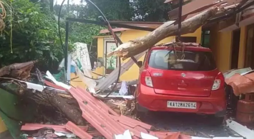 ಕೊಡಗಿನಲ್ಲಿ ಗಾಳಿ ಮಳೆಯಿಂದ ಮತ್ತೆ ಹಾನಿ : ಮುರಿದು ಬಿದ್ದ 800 ವಿದ್ಯುತ್ ಕಂಬಗಳು