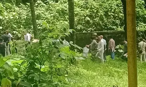 ಧರ್ಮಸ್ಥಳ ದೂರು | ಗುರುತು ಮಾಡಿರುವ ವಿವಿಧ ಸ್ಥಳಗಳಲ್ಲಿದೆ ಎನ್ನಲಾದ ಮೃತದೇಹಗಳೆಷ್ಟು?