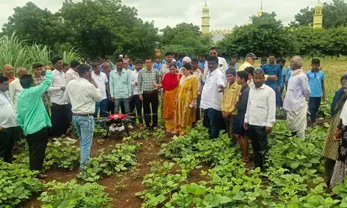 ಬೀದರ್ | ಡ್ರೋಣ್‌ ಮೂಲಕ ನ್ಯಾನೊ ಯೂರಿಯಾ, ನ್ಯಾನೊ ಡಿಎಪಿ ಬಳಸುವುದರಿಂದ ಪರಿಸರದ ಮೇಲೆ ಯಾವುದೇ ದುಷ್ಪರಿಣಾಮ ಬೀರುವುದಿಲ್ಲ : ದೇವಿಕಾ