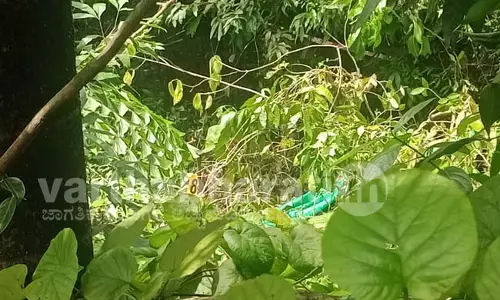 ಧರ್ಮಸ್ಥಳ: ಏಳನೇ ಸ್ಥಳದಲ್ಲಿ ಲಭಿಸದ ಕಳೇಬರ