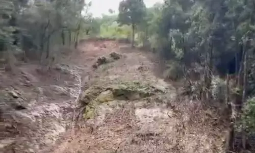 ಕೊಡಗು- ಕೇರಳ ಗಡಿಯ ದಟ್ಟ ಅರಣ್ಯದಲ್ಲಿ ಭಾರೀ ಪ್ರಮಾಣದ ಭೂ ಕುಸಿತ