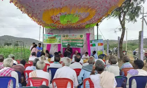 ಬಳ್ಳಾರಿ: ಹತ್ತಿ ಬೆಳೆಯಲ್ಲಿ ಗುಲಾಬಿ ಕಾಯಿ ಕೊರಕರ ನಿರ್ವಹಣೆ ಕುರಿತು ತರಬೇತಿ