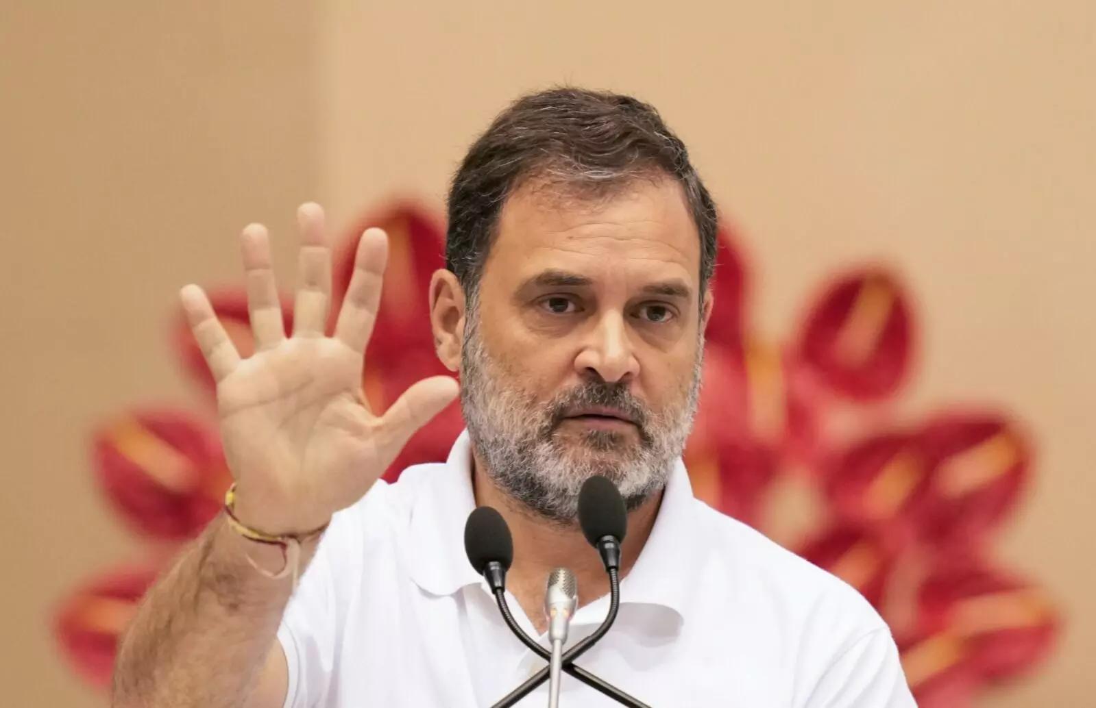 ಭಾರತದಲ್ಲಿ ಚುನಾವಣಾ ವ್ಯವಸ್ಥೆ ಸತ್ತುಹೋಗಿದೆ: ರಾಹುಲ್ ಗಾಂಧಿ