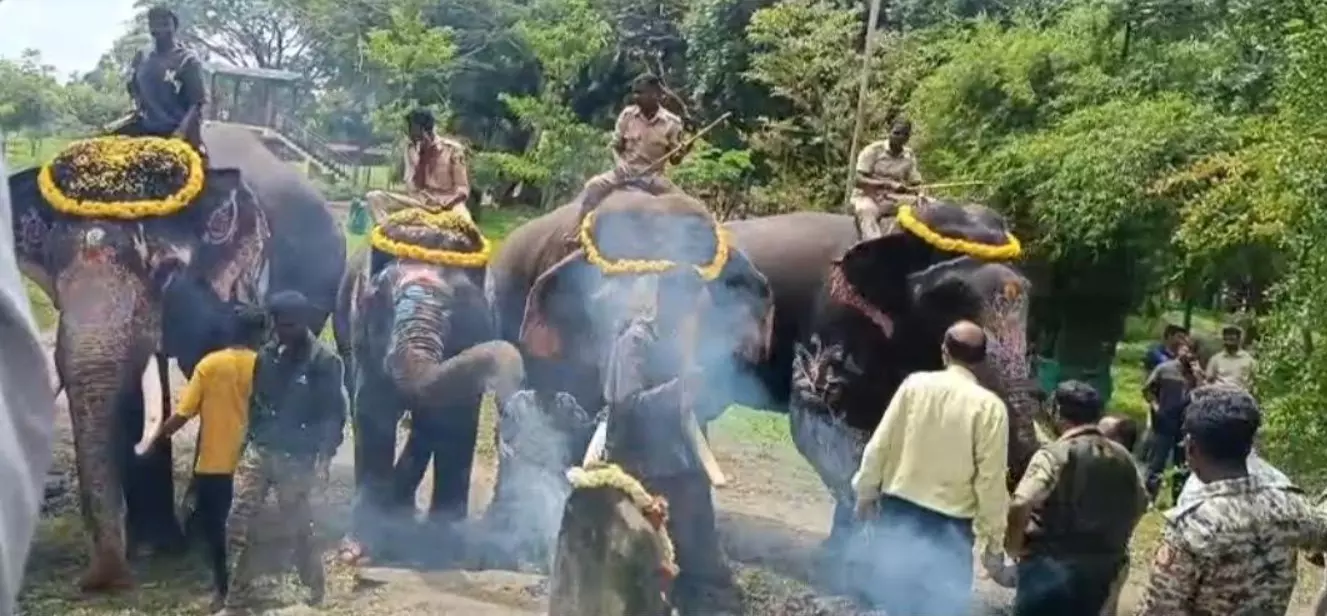 ದುಬಾರೆ ಸಾಕಾನೆ ಶಿಬಿರದಿಂದ ವೀರನ ಹೊಸಹಳ್ಳಿ ಶಿಬಿರಕ್ಕೆ ತೆರಳಿದ ಜಂಬೂ ಸವಾರಿ ಆನೆಗಳು