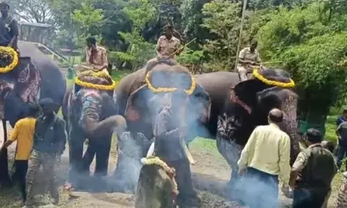 ದುಬಾರೆ ಸಾಕಾನೆ ಶಿಬಿರದಿಂದ ವೀರನ ಹೊಸಹಳ್ಳಿ ಶಿಬಿರಕ್ಕೆ ತೆರಳಿದ ಜಂಬೂ ಸವಾರಿ ಆನೆಗಳು