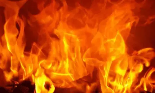 ಶಿವಮೊಗ್ಗ | ಆನಂದಪುರ ಗ್ರಾಪಂನ ಘನ ತ್ಯಾಜ್ಯ ವಿಲೇವಾರಿ ಘಟಕದಲ್ಲಿ ಬೆಂಕಿ ಅವಘಡ