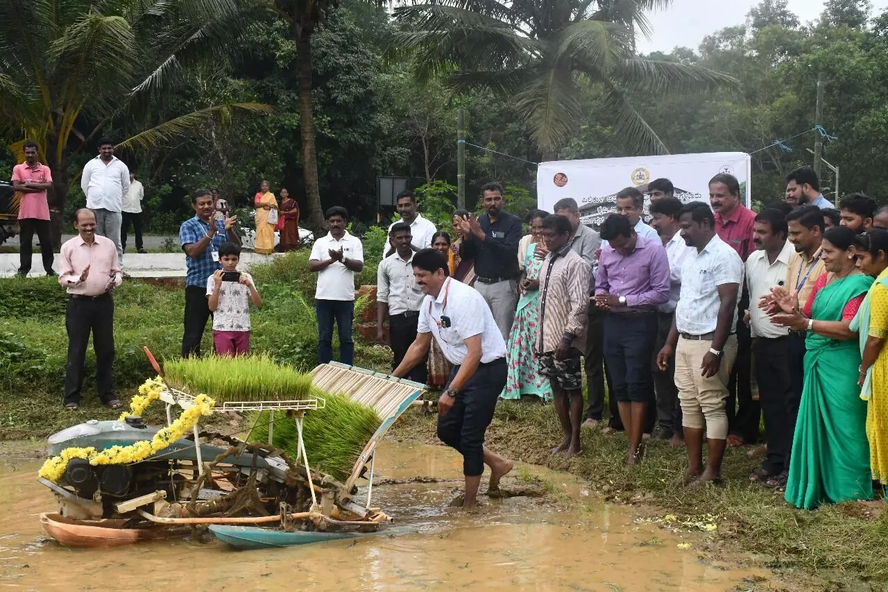 ಪಿಲಿಕುಳದಲ್ಲಿ ಭತ್ತದ ಕೃಷಿ ಪ್ರಾತ್ಯಕ್ಷಿಕೆ ಕಾರ್ಯಕ್ರಮ