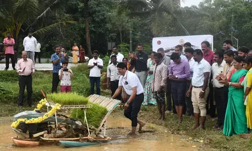 ಪಿಲಿಕುಳದಲ್ಲಿ ಭತ್ತದ ಕೃಷಿ ಪ್ರಾತ್ಯಕ್ಷಿಕೆ ಕಾರ್ಯಕ್ರಮ