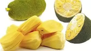 ಆ.9, 10ರಂದು ತ್ರಾಸಿಯಲ್ಲಿ ಹಲಸು - ಹಣ್ಣು ಮೇಳ