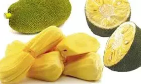 ಆ.9, 10ರಂದು ತ್ರಾಸಿಯಲ್ಲಿ ಹಲಸು - ಹಣ್ಣು ಮೇಳ