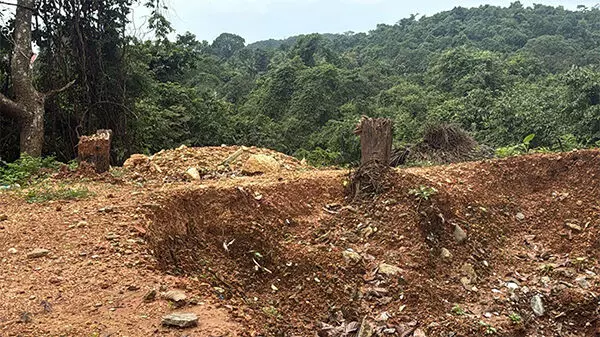 ಧರ್ಮಸ್ಥಳ ದೂರು| ಬಾಹುಬಲಿ ಬೆಟ್ಟದ ತಪ್ಪಲಿನ ಅರಣ್ಯ ಪ್ರದೇಶದಲ್ಲಿ ಸಾಕ್ಷ್ಯ ನಾಶ ಯತ್ನ; ಸುಜಾತಾ ಭಟ್ ಪರ ವಕೀಲರಿಂದ ಗಂಭೀರ ಆರೋಪ