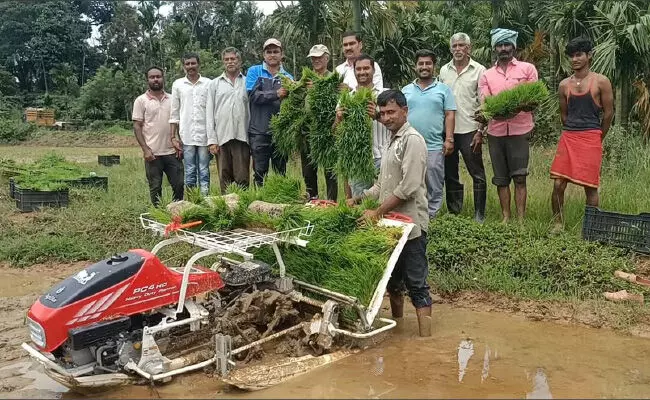 ಪಾಳುಬಿದ್ದ ಭತ್ತದ ಗದ್ದೆಗೆ ಮರುಜೀವ ತುಂಬಿದ ಬೇಗೂರಿನ ಕೃಷಿಕ ಪ್ರವೀಣ್ ಪಾಳುಬಿದ್ದ ಭತ್ತದ ಗದ್ದೆಗೆ ಮರುಜೀವ ತುಂಬಿದ ಬೇಗೂರಿನ ಕೃಷಿಕ ಪ್ರವೀಣ್