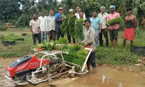 ಪಾಳುಬಿದ್ದ ಭತ್ತದ ಗದ್ದೆಗೆ ಮರುಜೀವ ತುಂಬಿದ ಬೇಗೂರಿನ ಕೃಷಿಕ ಪ್ರವೀಣ್