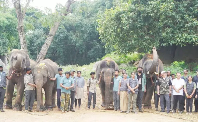ಬನ್ನೇರುಘಟ್ಟ ಜೈವಿಕ ಉದ್ಯಾನದಿಂದ ಸಾಗರೋತ್ತರ ಪ್ರಾಣಿಗಳ ವಿನಿಮಯ
