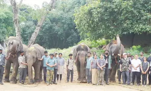 ಬನ್ನೇರುಘಟ್ಟ ಜೈವಿಕ ಉದ್ಯಾನದಿಂದ ಸಾಗರೋತ್ತರ ಪ್ರಾಣಿಗಳ ವಿನಿಮಯ