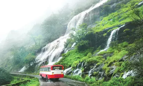 ಚಾರ್ಮಾಡಿ ಘಾಟ್‌ನ ಪ್ರಪಾತಕ್ಕೆ ಬಿದ್ದು ಯುವಕ ಗಂಭೀರ