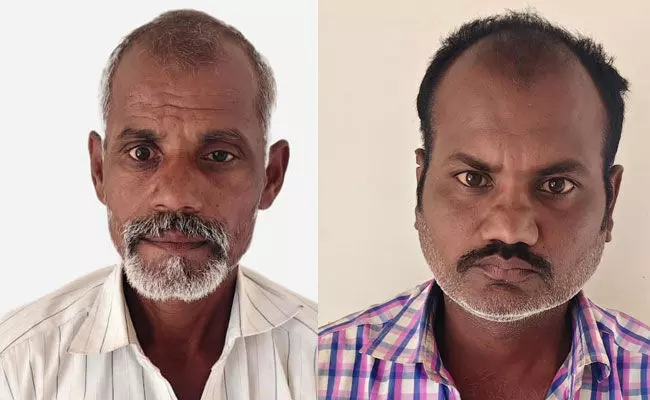 ಕಲಬುರಗಿ| 2 ಲಕ್ಷ ಮೌಲ್ಯದ 200 ಮಹಾಗನಿ ಗಿಡ ಕಡಿದು ನಾಶ; ಇಬ್ಬರು ಆರೋಪಿಗಳ ಬಂಧನ