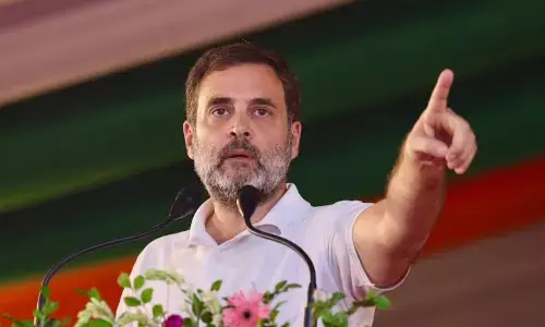 “ಮಾತುಬಾರದ ಜೀವಿಗಳು, ಅಳಿಸಬೇಕಾದ ಸಮಸ್ಯೆಗಳಲ್ಲ”: ದಿಲ್ಲಿ ನಗರವನ್ನು ಬೀದಿ ನಾಯಿಗಳಿಂದ ಮುಕ್ತಗೊಳಿಸುವ ಸುಪ್ರೀಂ ಕೋರ್ಟ್ ಆದೇಶಕ್ಕೆ ರಾಹುಲ್ ಗಾಂಧಿ ಅಸಮಾಧಾನ