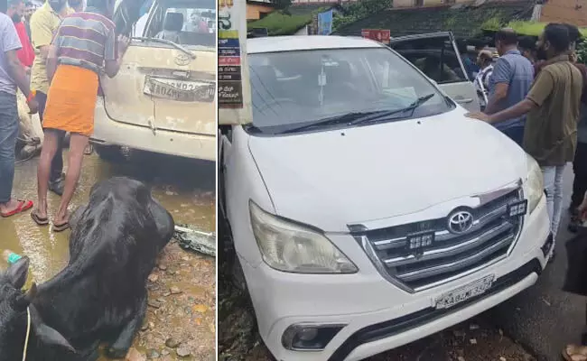 ಗುರುವಾಯನಕೆರೆ: ಇನ್ನೋವಾ ಕಾರಿನಲ್ಲಿ ದನ ಸಾಗಾಟ; ಒಬ್ಬ ಪೊಲೀಸರ ವಶಕ್ಕೆ