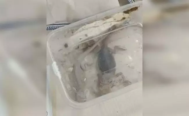 ಬೆಂಗಳೂರು | ಸರೀಸೃಪಗಳ ಕಳ್ಳಸಾಗಣೆ : ವಿಮಾನ ನಿಲ್ದಾಣದಲ್ಲಿ ವಶಪಡಿಸಿಕೊಂಡ ಕಸ್ಟಮ್ಸ್ ಅಧಿಕಾರಿಗಳು ಬೆಂಗಳೂರು | ಸರೀಸೃಪಗಳ ಕಳ್ಳಸಾಗಣೆ : ವಿಮಾನ ನಿಲ್ದಾಣದಲ್ಲಿ ವಶಪಡಿಸಿಕೊಂಡ ಕಸ್ಟಮ್ಸ್ ಅಧಿಕಾರಿಗಳು