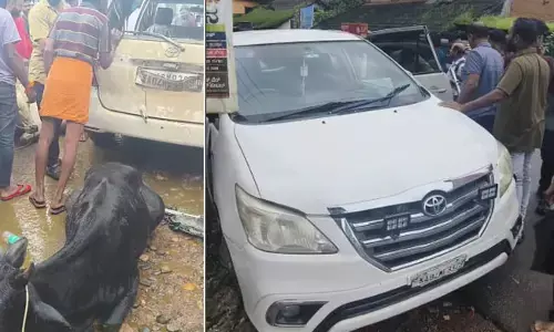 ಗುರುವಾಯನಕೆರೆ: ಇನ್ನೋವಾ ಕಾರಿನಲ್ಲಿ ದನ ಸಾಗಾಟ; ಒಬ್ಬ ಪೊಲೀಸರ ವಶಕ್ಕೆ