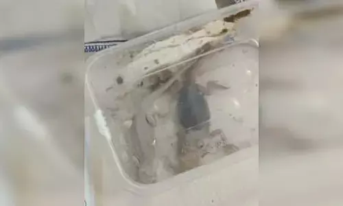 ಬೆಂಗಳೂರು | ಸರೀಸೃಪಗಳ ಕಳ್ಳಸಾಗಣೆ : ವಿಮಾನ ನಿಲ್ದಾಣದಲ್ಲಿ ವಶಪಡಿಸಿಕೊಂಡ ಕಸ್ಟಮ್ಸ್ ಅಧಿಕಾರಿಗಳು