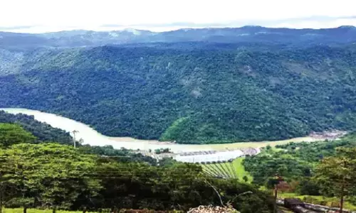 ಶರಾವತಿ ಪಂಪ್ಡ್‌ ಸ್ಟೋರೇಜ್ ಯೋಜನೆಗೆ ಅರಣ್ಯ ಸಲಹಾ ಸಮಿತಿ ಆಕ್ಷೇಪ