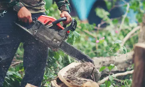 ಮೂಡಿಗೆರೆ | ಮೈಮೇಲೆ ಮರ ಬಿದ್ದು ಟಿಂಬರ್ ಕಾರ್ಮಿಕ ಮೃತ್ಯು