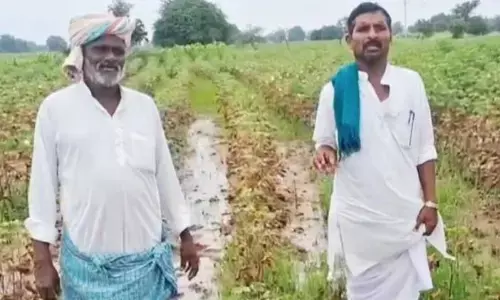 ಸುರಪುರ | ಮಳೆಯಿಂದ ಬೆಳೆ ಹಾನಿಯಾದ ಜಮೀನುಗಳಿಗೆ ಪರಿಹಾರ ನೀಡಿ : ಹಣಮಂತ್ರಾಯ ಮಡಿವಾಳ