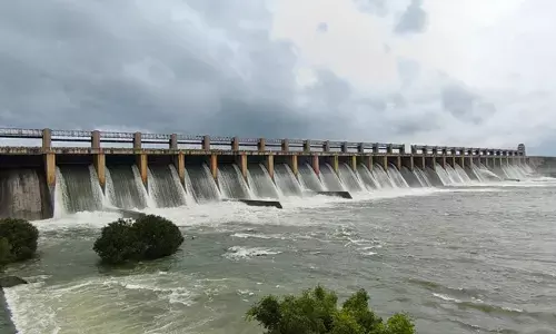 ಭದ್ರತೆಯ ದೃಷ್ಟಿಯಿಂದ ಬದಲಿಸಬೇಕಿದೆ ತುಂಗಭದ್ರಾ ಜಲಾಶಯದ ಆರು ಗೇಟ್‌ಗಳು