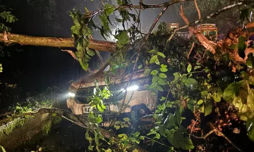 ಸಕಲೇಶಪುರ | ಭಾರೀ ಮಳೆ; ಚಲಿಸುತ್ತಿದ್ದ ಕಾರಿನ ಮೇಲೆ ಬಿದ್ದ ಬೃಹತ್ ಮರ!