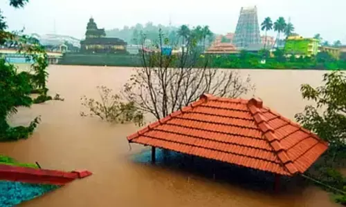 ಚಿಕ್ಕಮಗಳೂರು: ಮಲೆನಾಡಲ್ಲಿ ಮುಂದುವರಿದ ಗಾಳಿ-ಮಳೆಯ ಅಬ್ಬರ