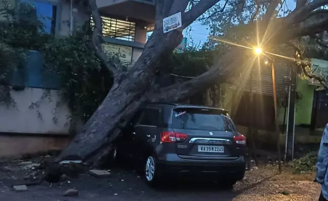 ಬೀದರ್ನಲ್ಲಿ ನಿರಂತರ ಮಳೆ | ನಿಂತ ಕಾರಿನ ಮೇಲೆ ಬಿದ್ದ ಬೃಹತ್ ಗಾತ್ರದ ಮರ ಬೀದರ್ನಲ್ಲಿ ನಿರಂತರ ಮಳೆ | ನಿಂತ ಕಾರಿನ ಮೇಲೆ ಬಿದ್ದ ಬೃಹತ್ ಗಾತ್ರದ ಮರ