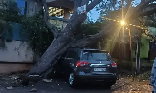 ಬೀದರ್‌ನಲ್ಲಿ ನಿರಂತರ ಮಳೆ | ನಿಂತ ಕಾರಿನ ಮೇಲೆ ಬಿದ್ದ ಬೃಹತ್ ಗಾತ್ರದ ಮರ