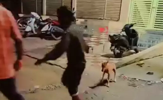 ಸುರಪುರ | ಬೀದಿ ನಾಯಿಗಳನ್ನು ತೆರವುಗೊಳಿಸಿದ ನಗರಸಭೆ ಅಧಿಕಾರಿಗಳ ವಿರುದ್ಧ ಪೊಲೀಸ್ ಠಾಣೆಗೆ ದೂರು