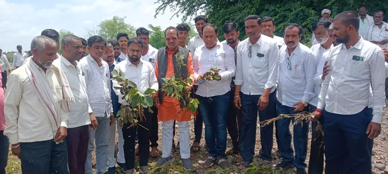 ಬೀದರ್ | ಅತಿವೃಷ್ಟಿ ಪೀಡಿತ ಪ್ರದೇಶದ ಪ್ರತಿ ಎಕರೆಗೆ 25 ಸಾವಿರ ರೂ. ಪರಿಹಾರ ಘೋಷಿಸಲಿ : ಶಾಸಕ ಪ್ರಭು ಚೌವ್ಹಾಣ್‌